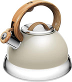 CHALEIRA AUROS 2,7 L BRULÉE  EURO HOME