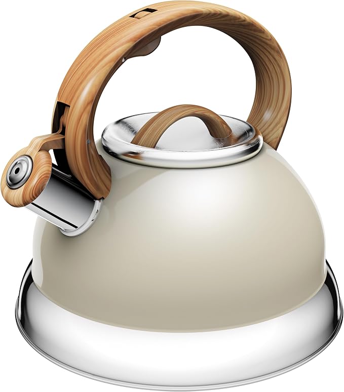 CHALEIRA AUROS 2,7 L BRULÉE  EURO HOME